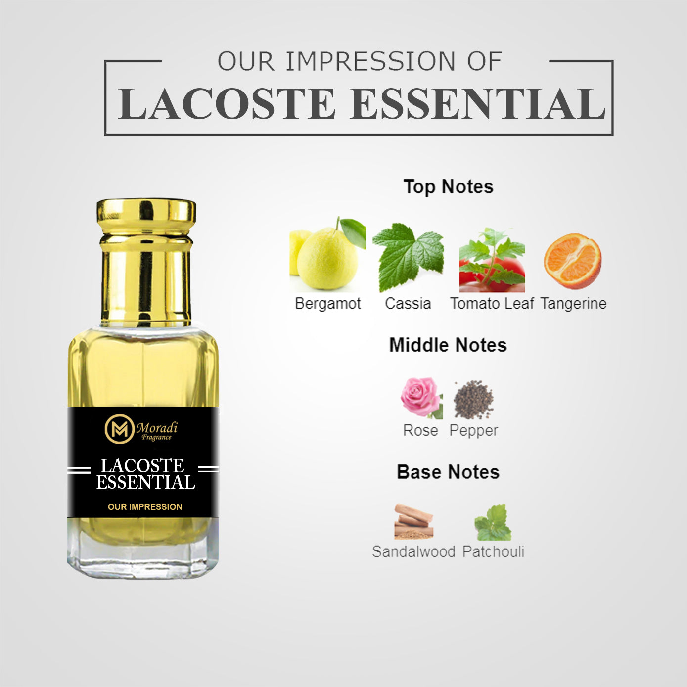 Lacoste essentials hotsell